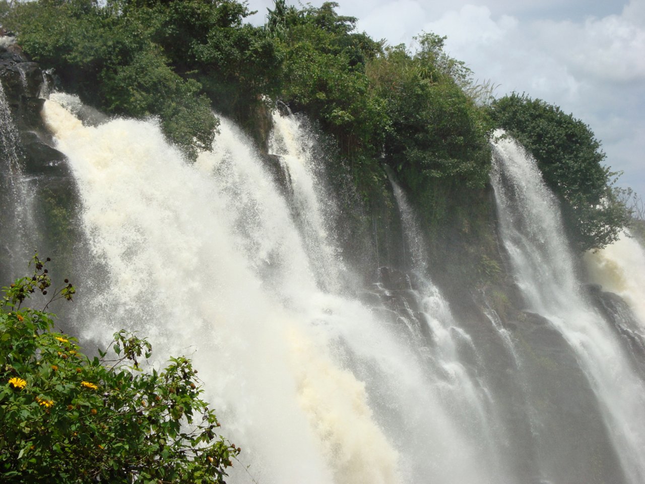 Central African Republic rainforest travel