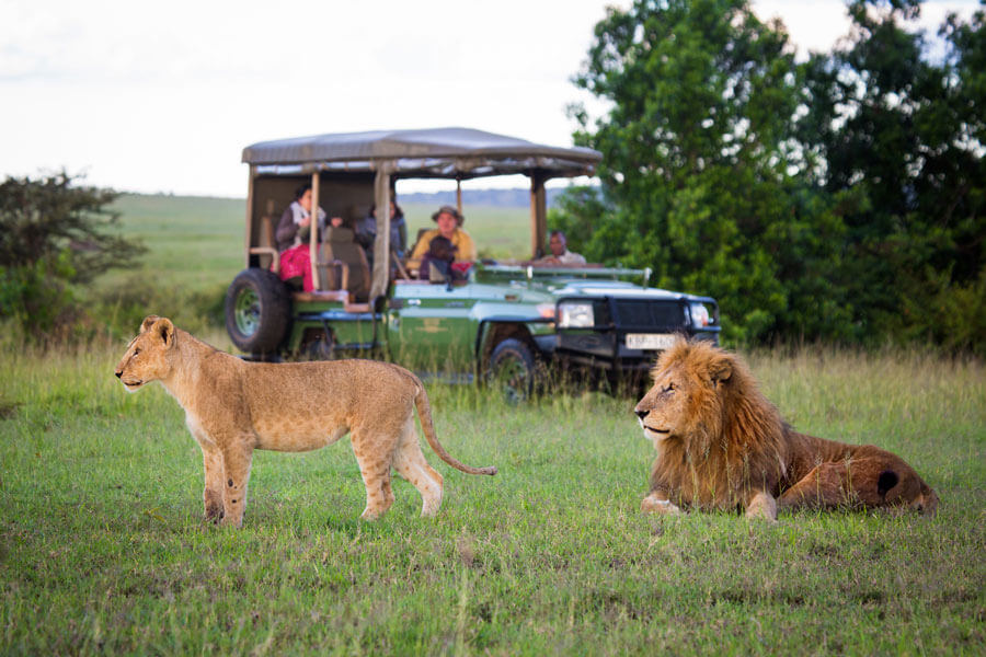 Big Five safari in Kenya with iconic wildlife and open safari landscapes