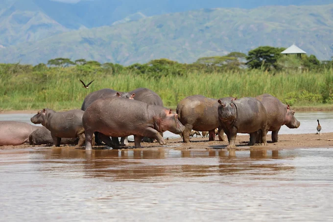 Burundi tour packages