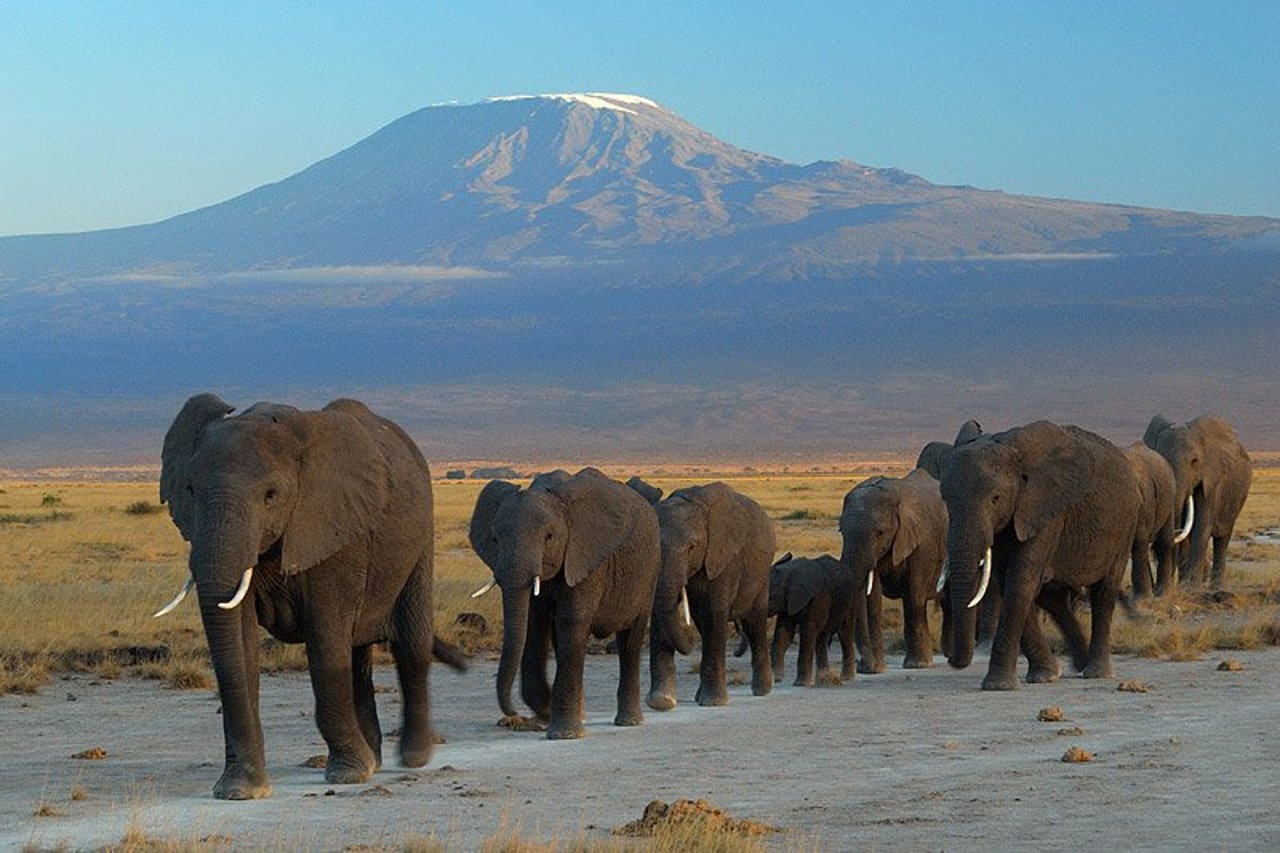 Safari landscape in Kenya