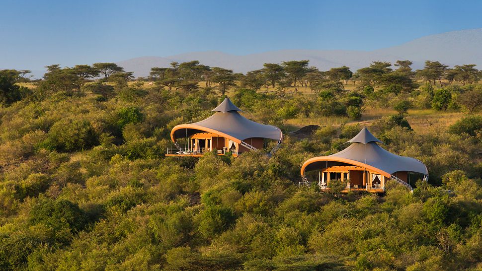 Luxury safari lodge in South Africa with elegant wildlife travel atmosphere