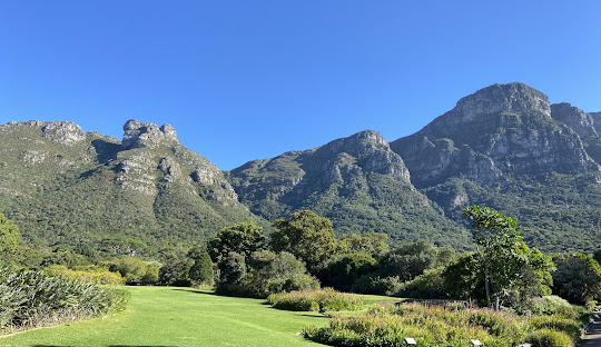 South Africa 7 day itinerary with Cape Town, coast, and safari inspiration